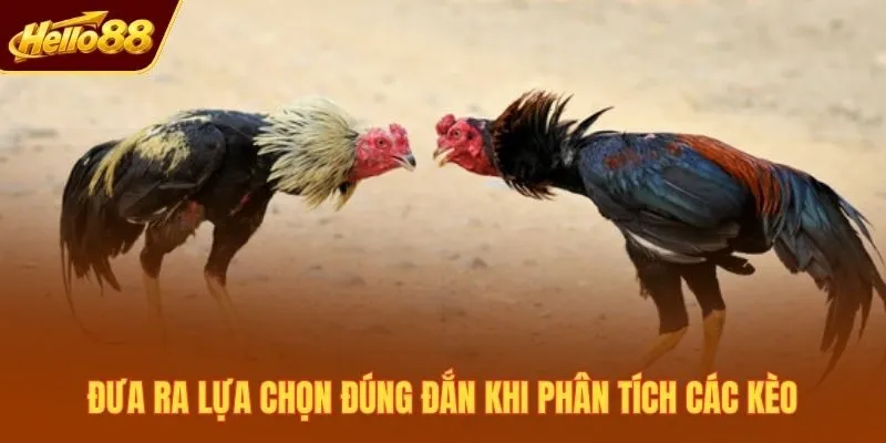 Đưa ra lựa chọn đúng đắn khi phân tích các kèo