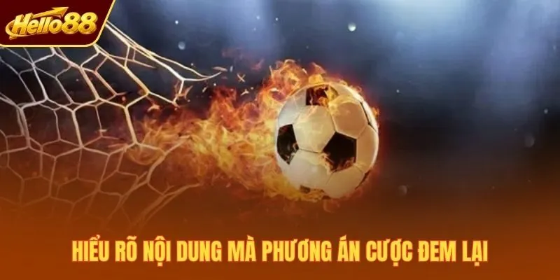 Hiểu rõ nội dung mà phương án cược đem lại