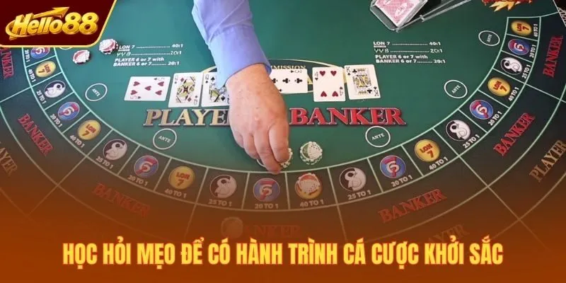 Học hỏi mẹo để có hành trình cá cược khởi sắc