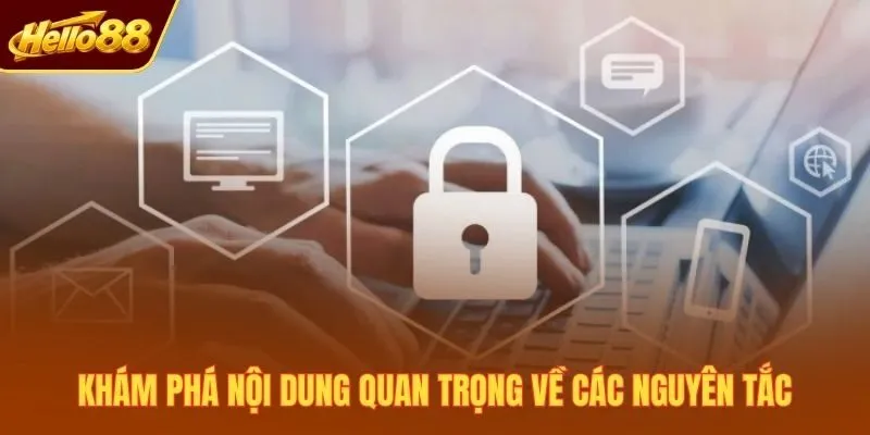 Khám phá nội dung quan trọng về các nguyên tắc
