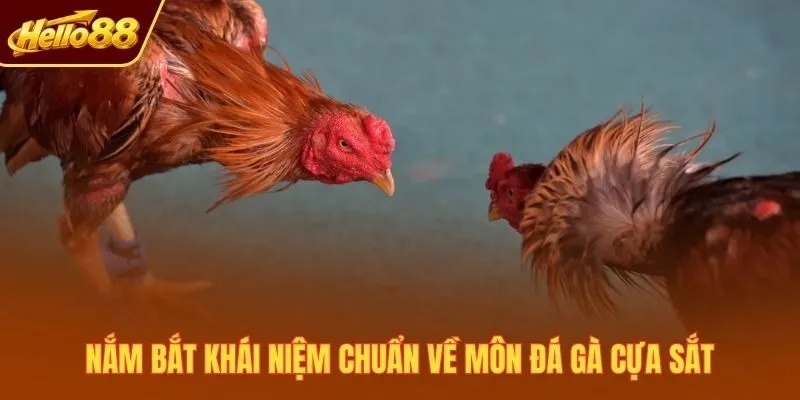 Nắm bắt khái niệm chuẩn về môn đá gà cựa sắt