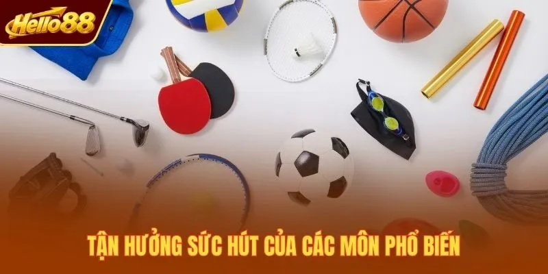 Tận hưởng sức hút của các môn phổ biến
