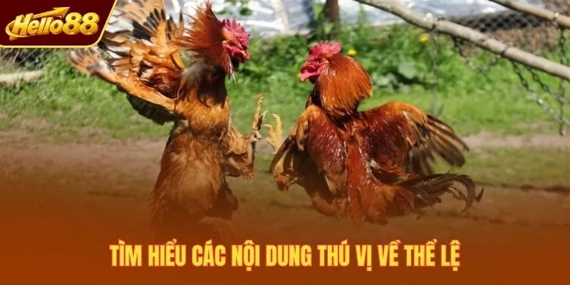 Tìm hiểu các nội dung thú vị về thể lệ
