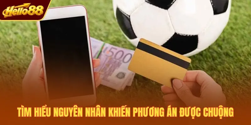 Tìm hiểu nguyên nhân khiến phương án được chuộng